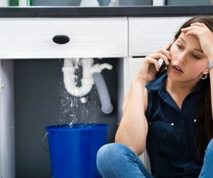 About Emergency plumbing pros San Isidro, TX